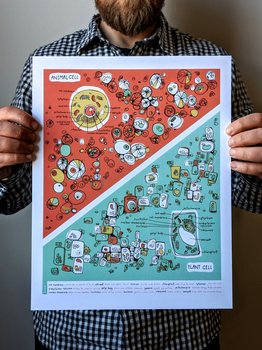 Plants and Animal Cell Print by Brainstorm