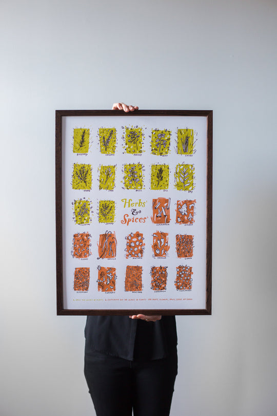 Herbs & Spices Print by Brainstorm - HERBS: rosemary, oregano, parsley, mint, chives, thyme, sage, basil, dill, bay, cilantro, savory SPICES: cinnamon, ginger, cloves, vanilla, nutmeg, paprika, cumin, peppercorn, turmeric, mustard, cardamom, coriander