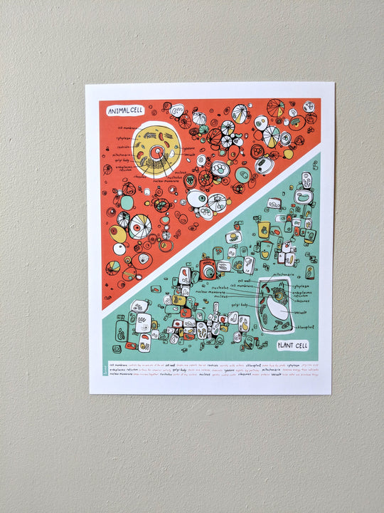 Plants and Animal Cell Print by Brainstorm