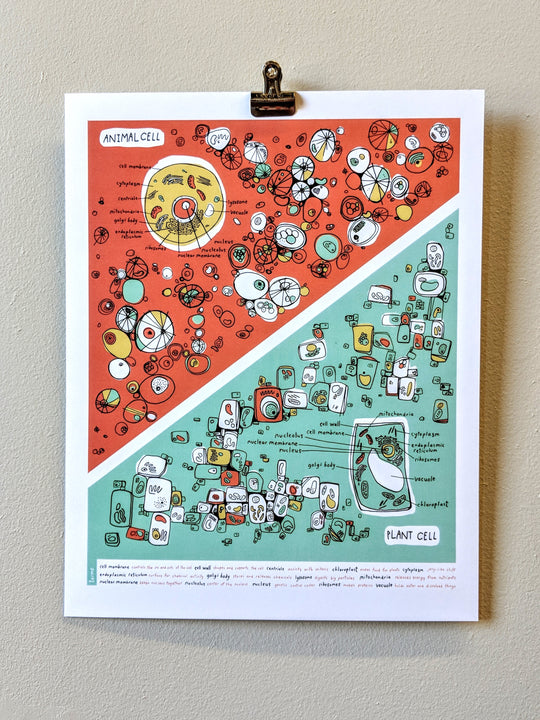 Plants and Animal Cell Print by Brainstorm