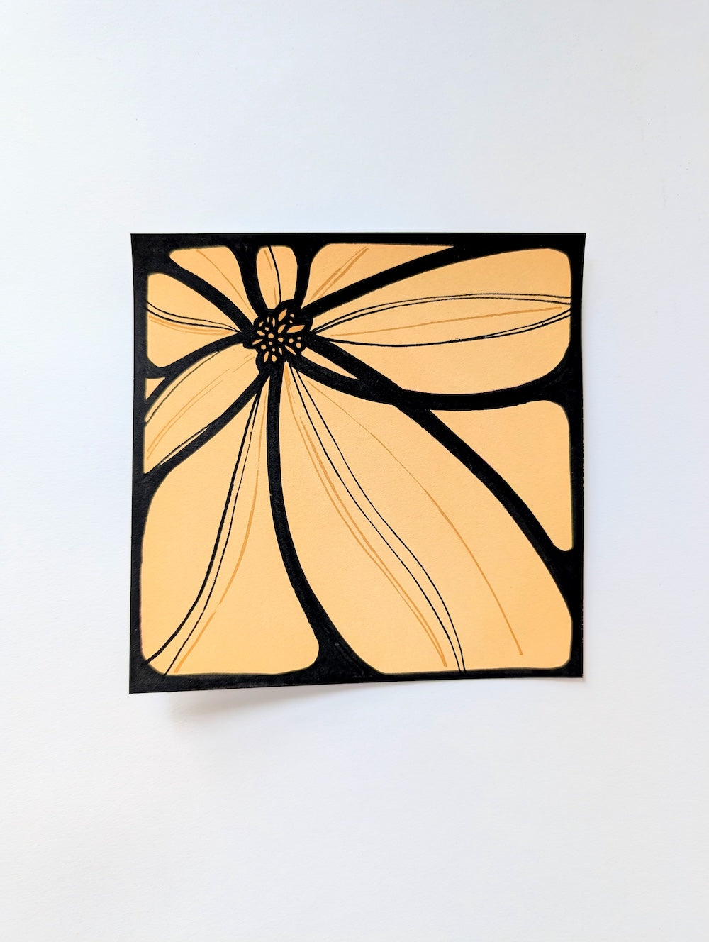 Bloom Box - Original Works on Paper by Briana Feola