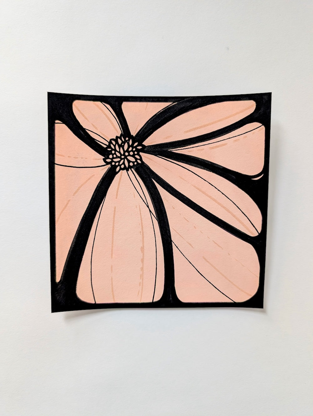 Bloom Box - Original Works on Paper by Briana Feola