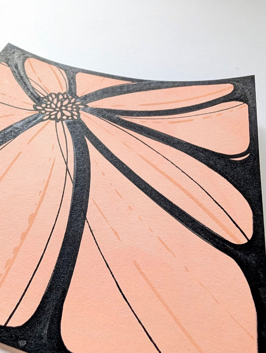 Bloom Box - Original Works on Paper by Briana Feola