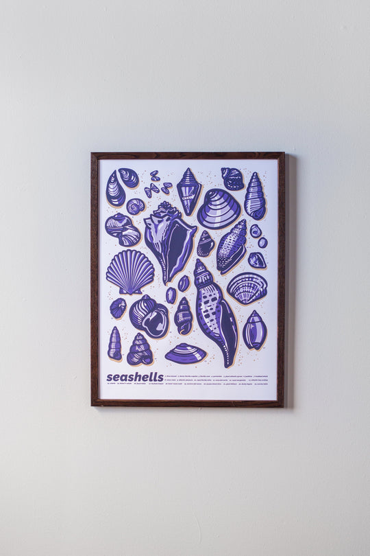 Seashells Print in Dark Frame by Brainstorm