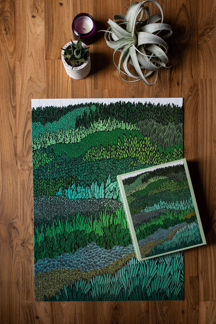 Jigsaw Puzzles by Brainstorm