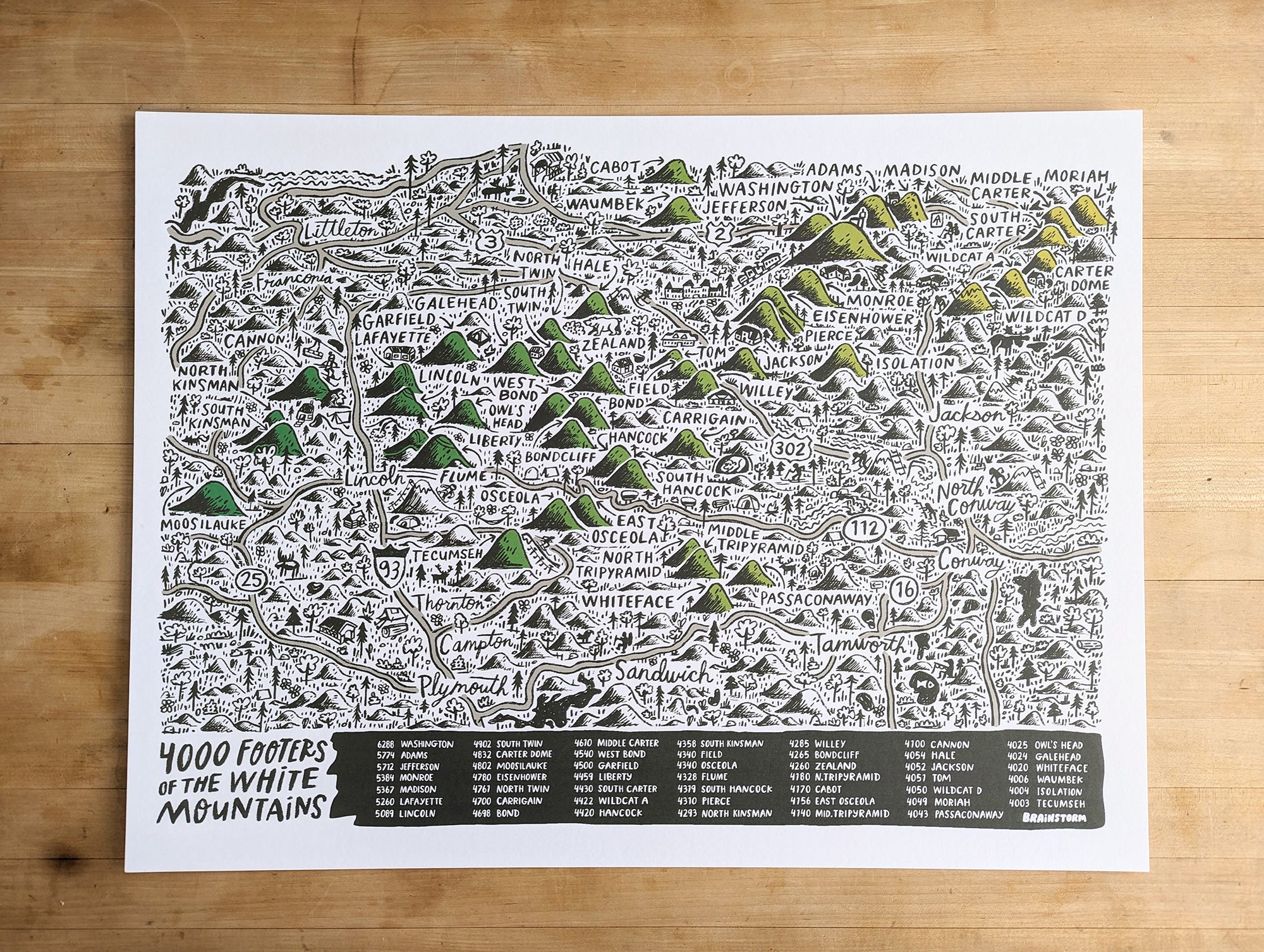 Four Thousand Footers Print by Brainstorm