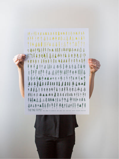 The Pine Family on White Print by Braintorm - Tree Poster! - Pine, Spruce, Fir, Douglas Fir, Cedar, Hemlock, Larch, Golden Larch, Cathaya, Keteleeria, Nothotsuga