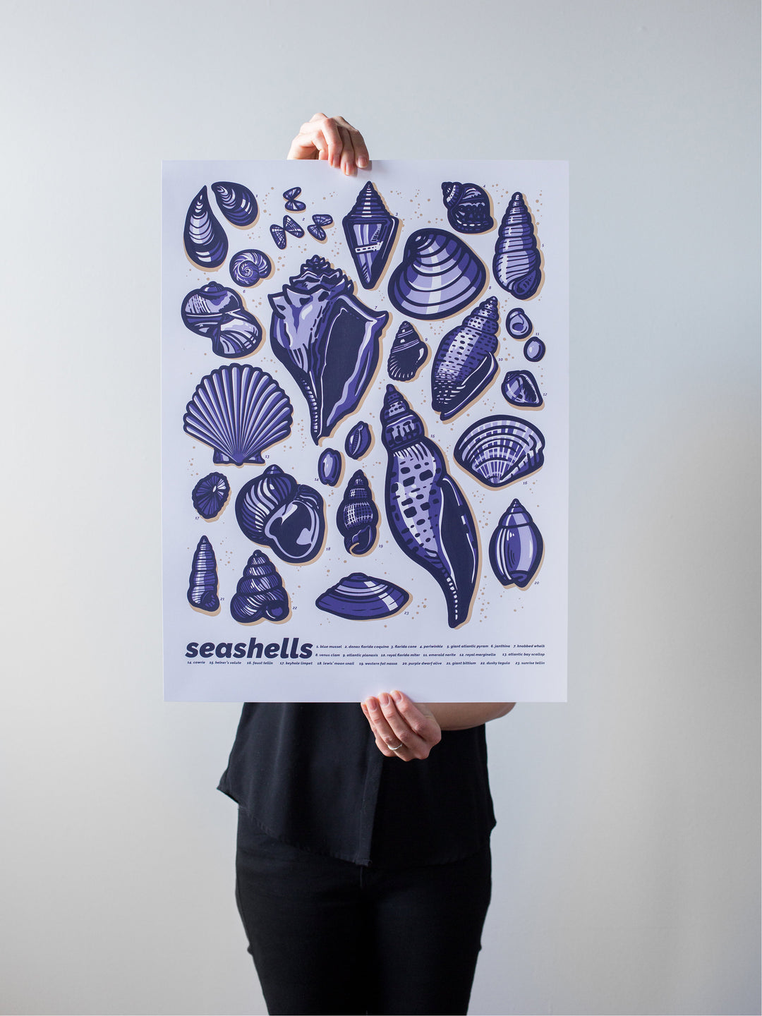 Seashells Print by Brainstorm