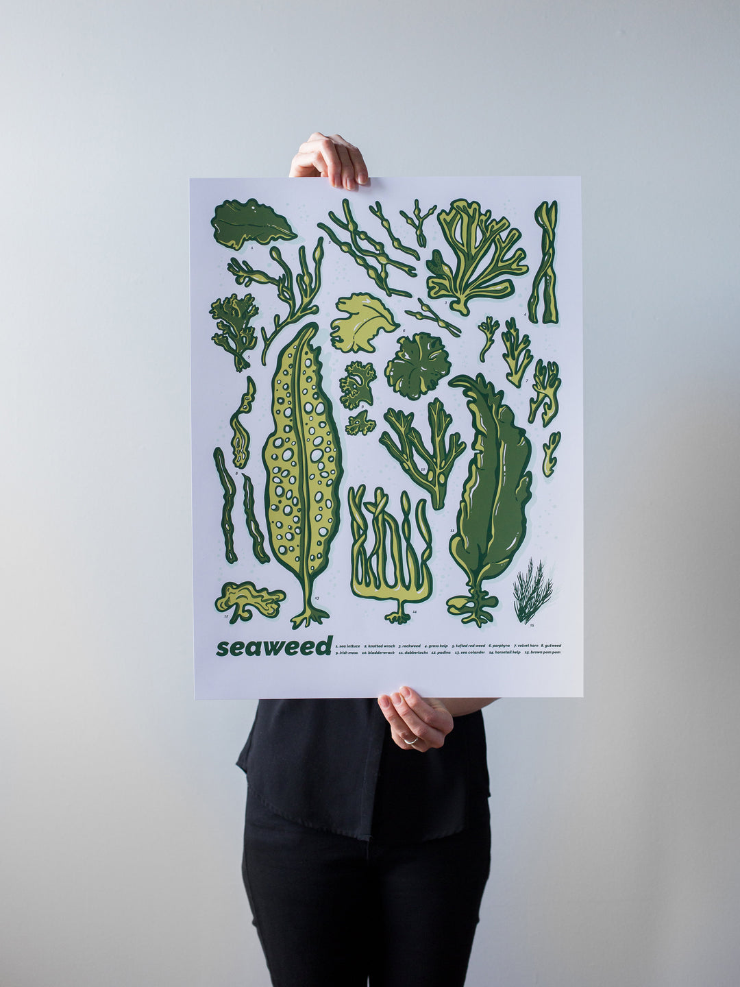 Seaweed Print by Brainstorm - Kelp, Porphyra, Knotted Wrack, Bladderwrack, Irish Moss! 