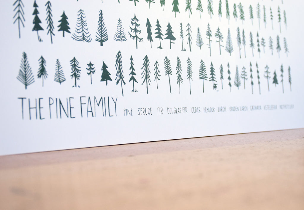 Pine Family Print Wall Art by Brainstorm  - 18x24 5 color screenprint 